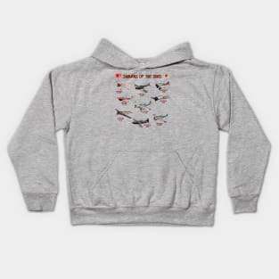 Samurais of the Skies Kids Hoodie